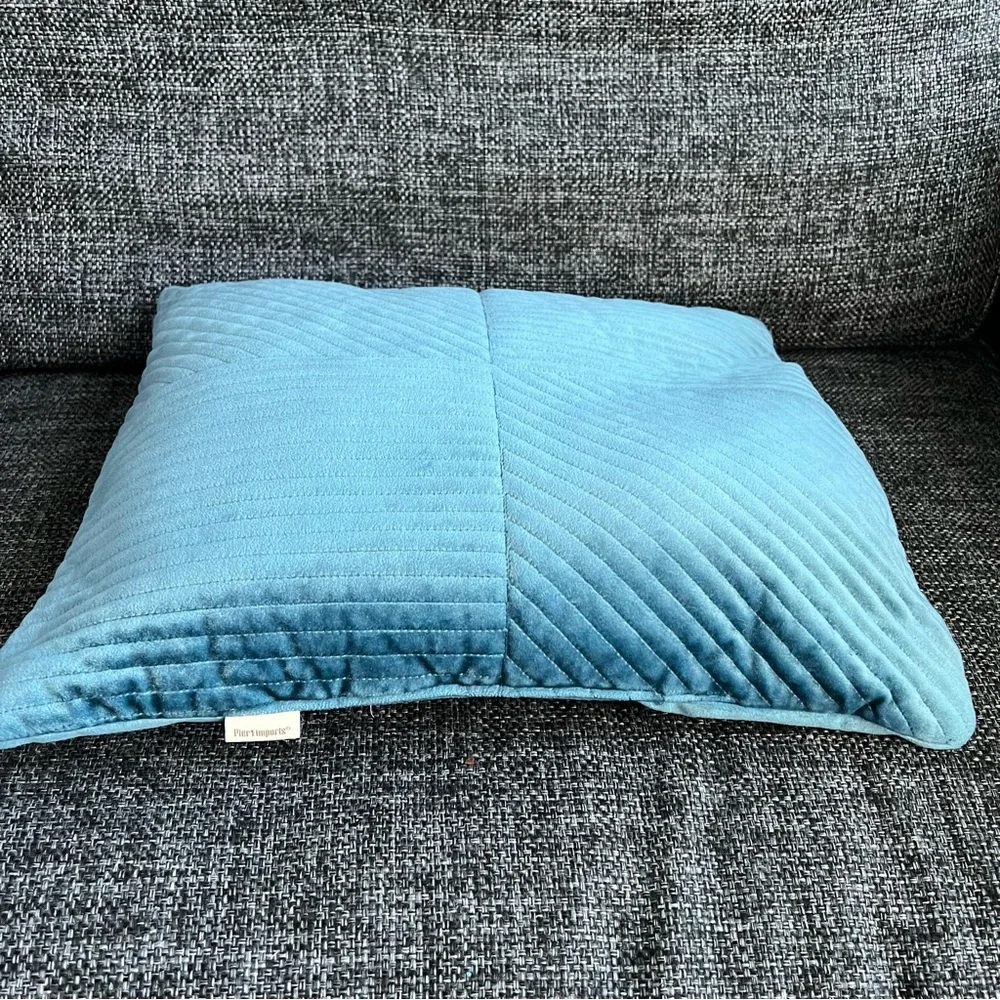 Pier 1 Imports Velvet Throw Pillows- set of 2